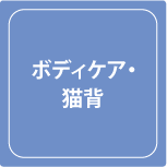 武井接骨院ボディケア