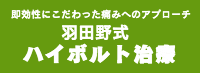 武井接骨院ハイボルト治療